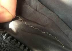 Enlace a Pelo VS Cremallera