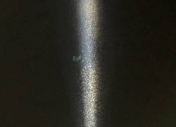 Enlace a Mientras tanto, en Las Vegas...