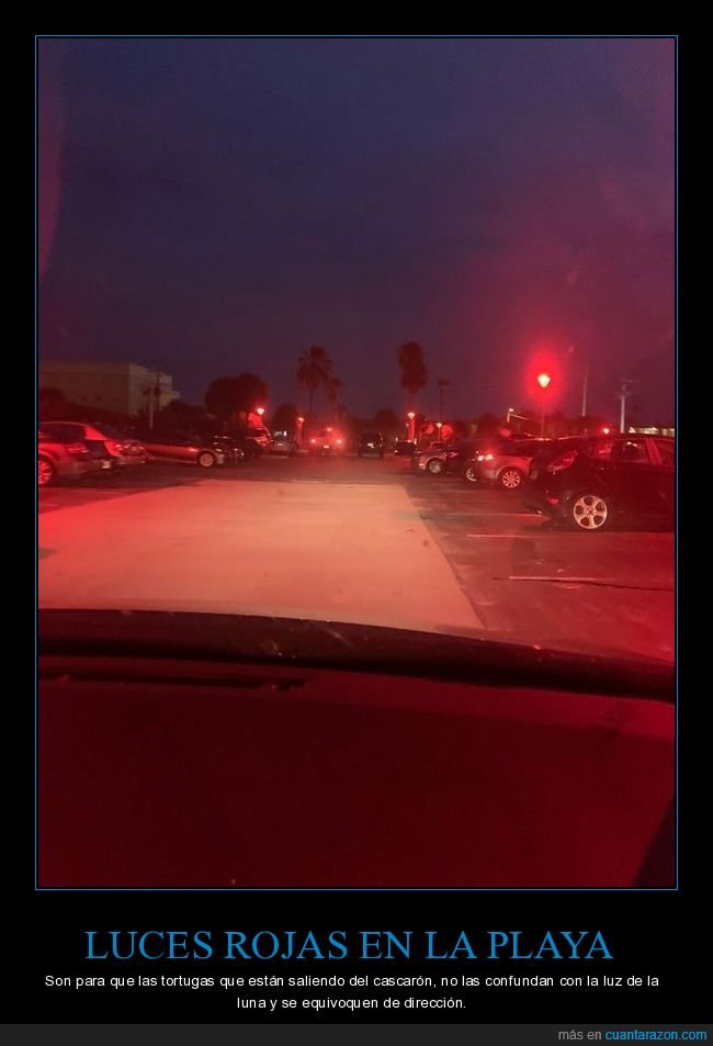 luces,rojas,playa,tortugas,confundir