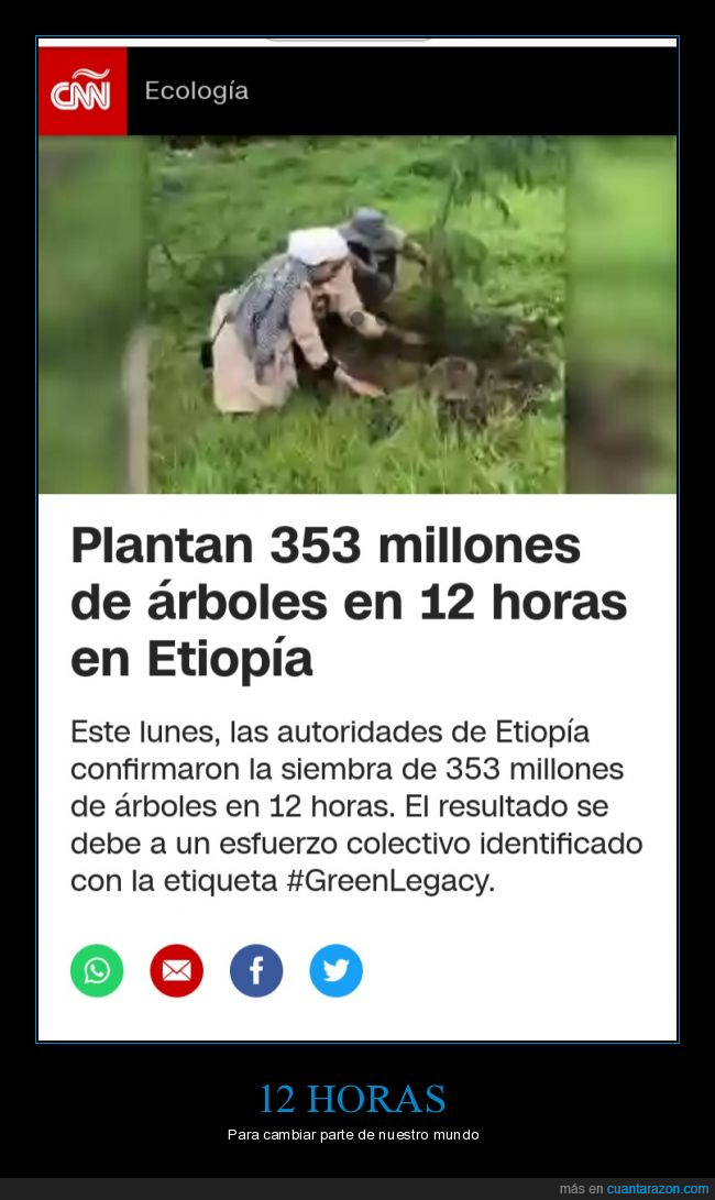 árboles,plantar,etiopía