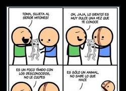 Enlace a Dulce gatito