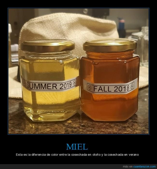 miel,diferencias,cosechas