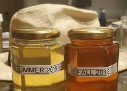 Enlace a Seguro que no conocías esta diferencia de la miel