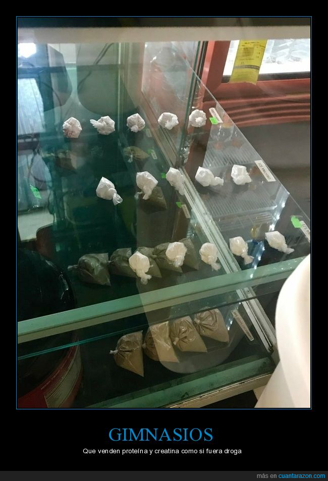 gimnasio,prote&iacute;na,creatina,bolsas,wtf