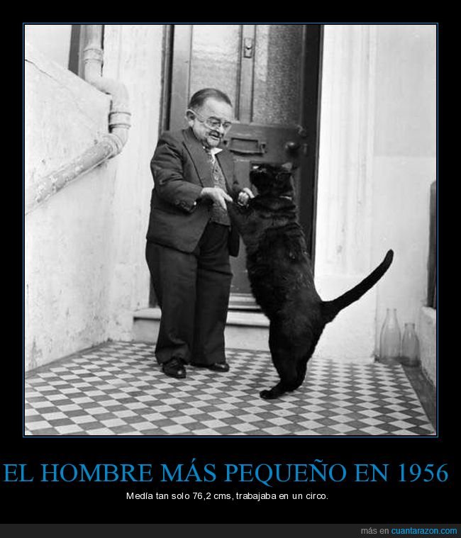 hombre,peque&ntilde;o,gato,1956