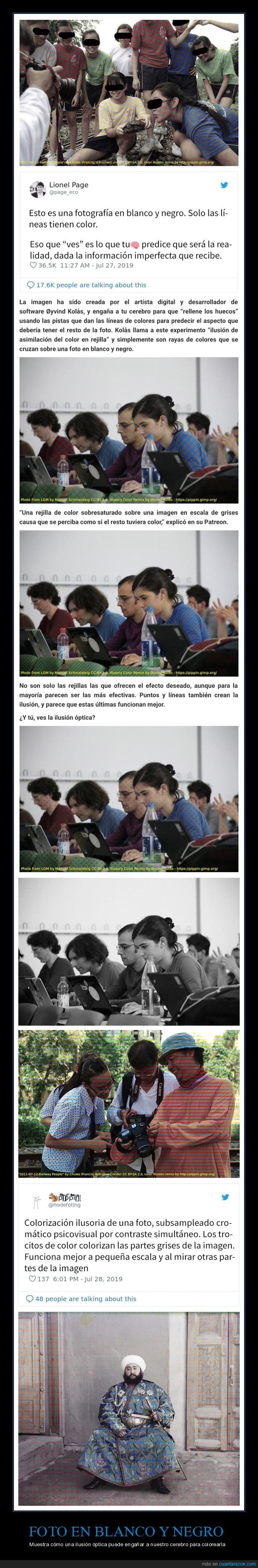 foto,blanco y negro,ilusión óptica,engañar,cerebro,colores