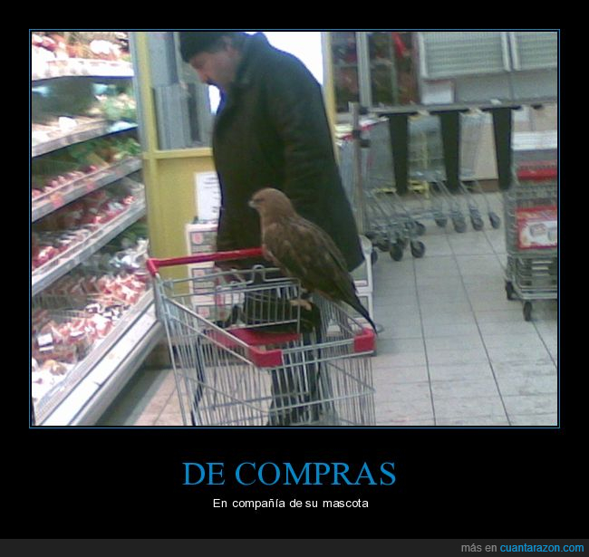 supermercado,halcón,wtf
