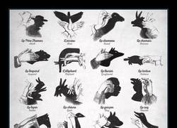 Enlace a Guía básica