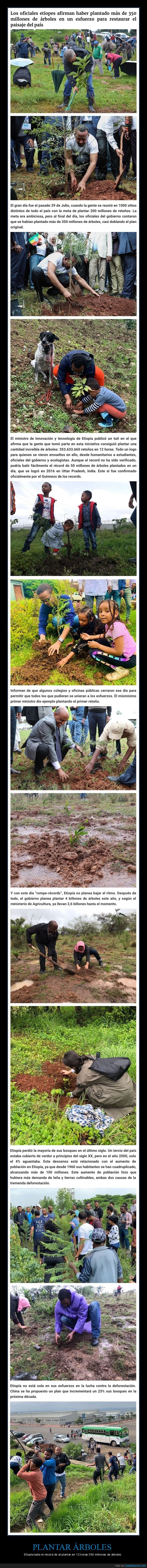 plantar,árboles,etiopía,récord