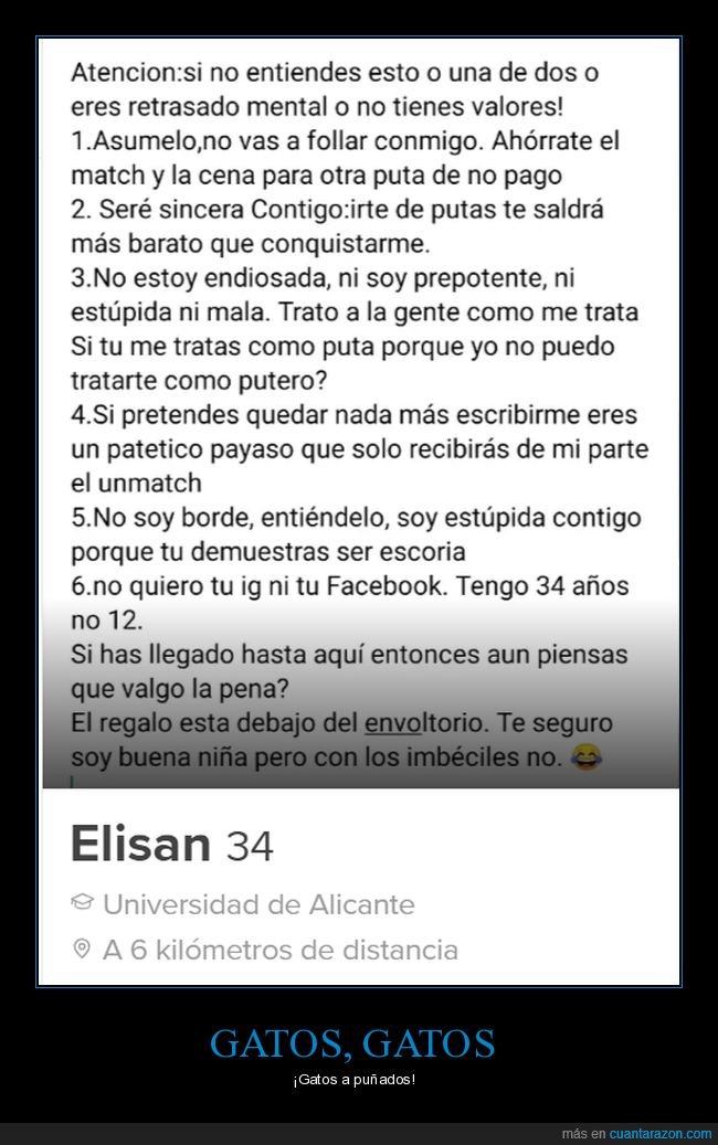 tinder,ligar,perfil,elisan,rarita,gatos