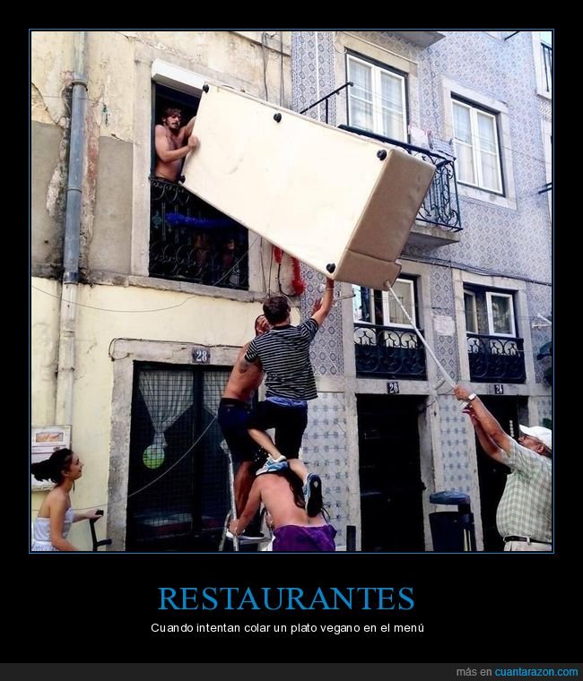 veganos,nevera,plato,comida,mudanza