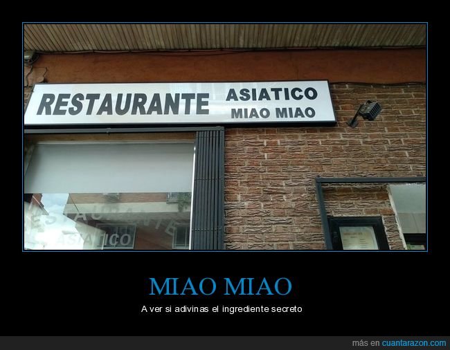 restaurante chino,gato,miao miao