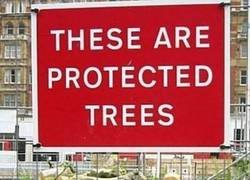 Enlace a Al más puro estilo Sergio Ramos