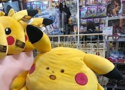 Enlace a Cada septiembre vuelvo igual a casa