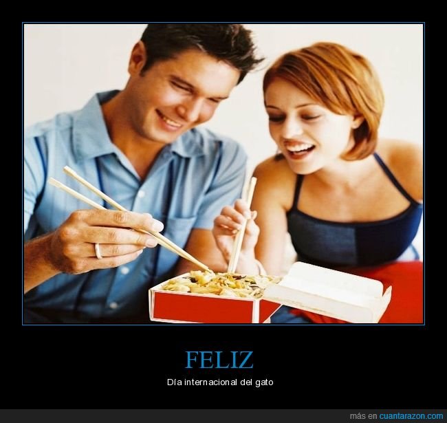 gato,feliz d&iacute;a,d&iacute;a internacional,comida china