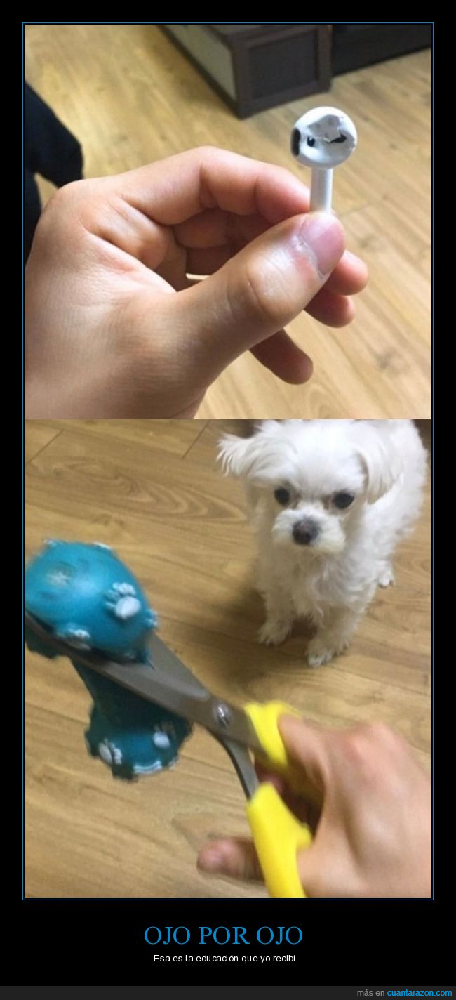 airpods,romper,perro,juguete