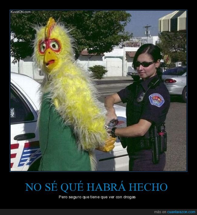 arrestado,mascota,drogas