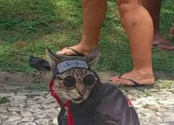 Enlace a Cosplay al siguiente nivel