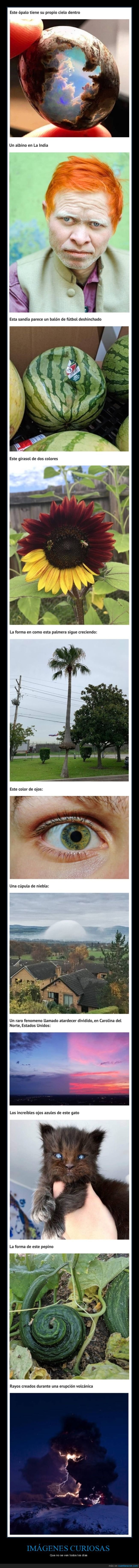 curiosidades,wtf