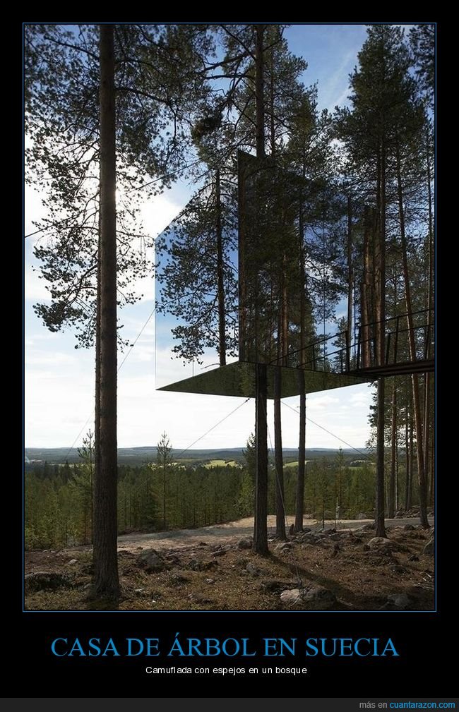 casa,árbo,camuflada,espejos