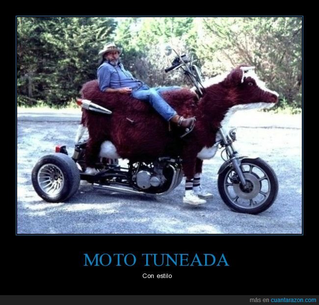 moto,vaca,wtf