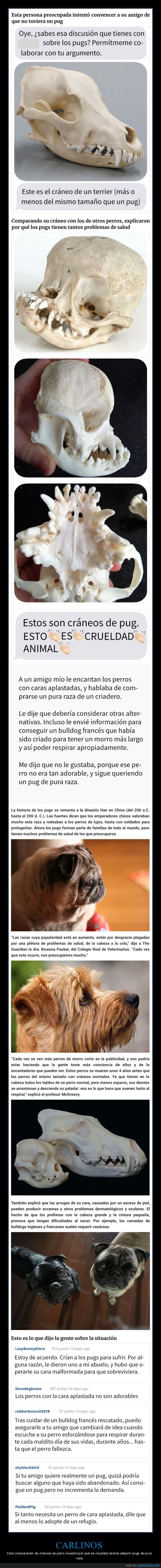 carlinos,pugs,perros,cráneos,comparación