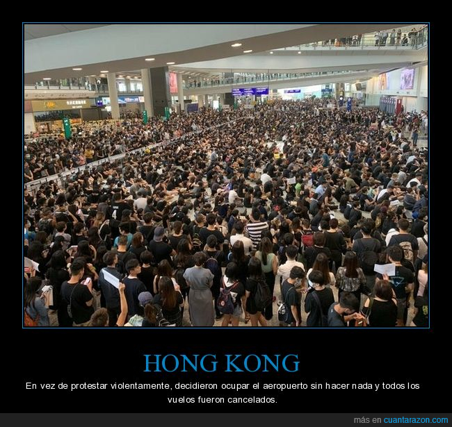 hong kong,protestas,aeropuerto