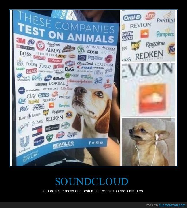 marcas,testadas,animales,soundcloud