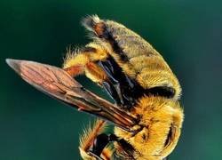 Enlace a Demostración de fuerza