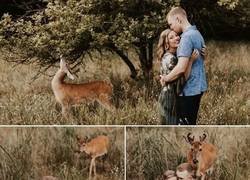 Enlace a Él también quería salir en las fotos