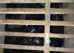 Enlace a Fail de los gordos