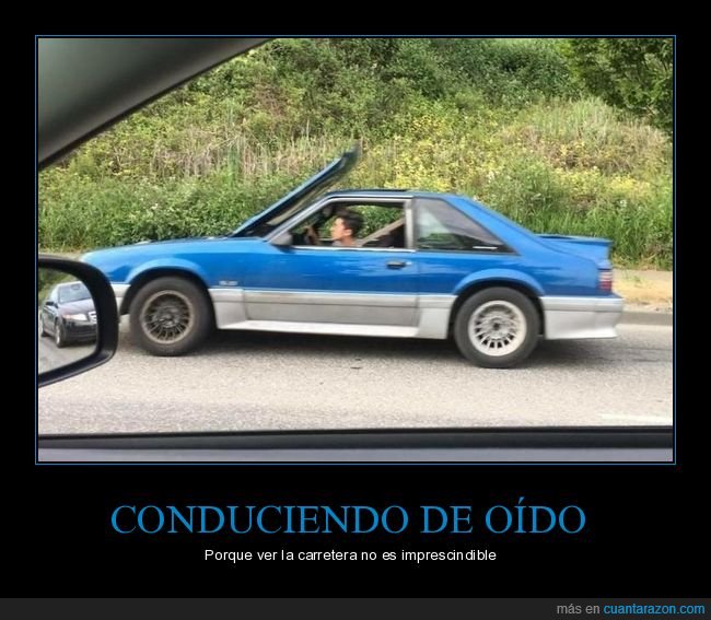 coche,capó,fails,wtf