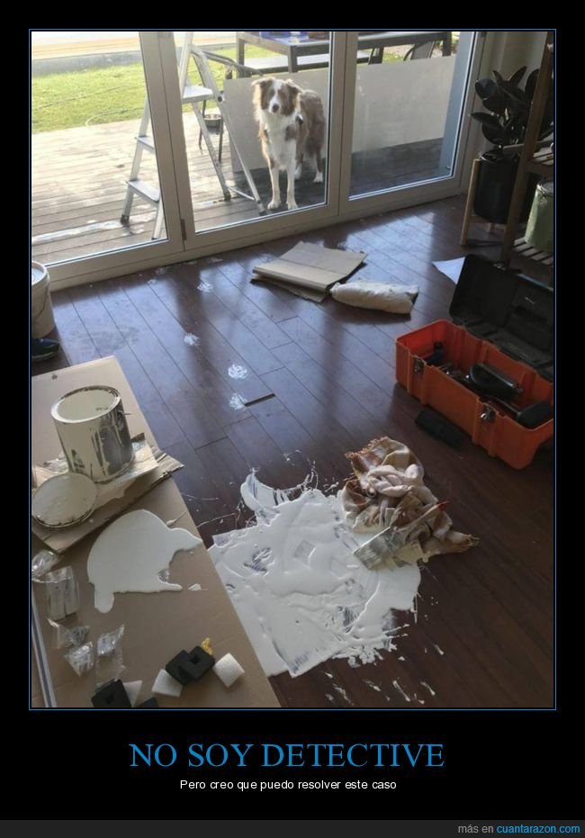 pintura,fails,cubo,perros