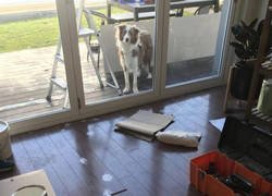 Enlace a Me parece que ya tenemos al culpable...