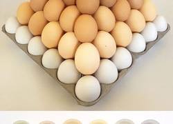 Enlace a Imágenes satisfactorias que te provocarán un orgasmo visual