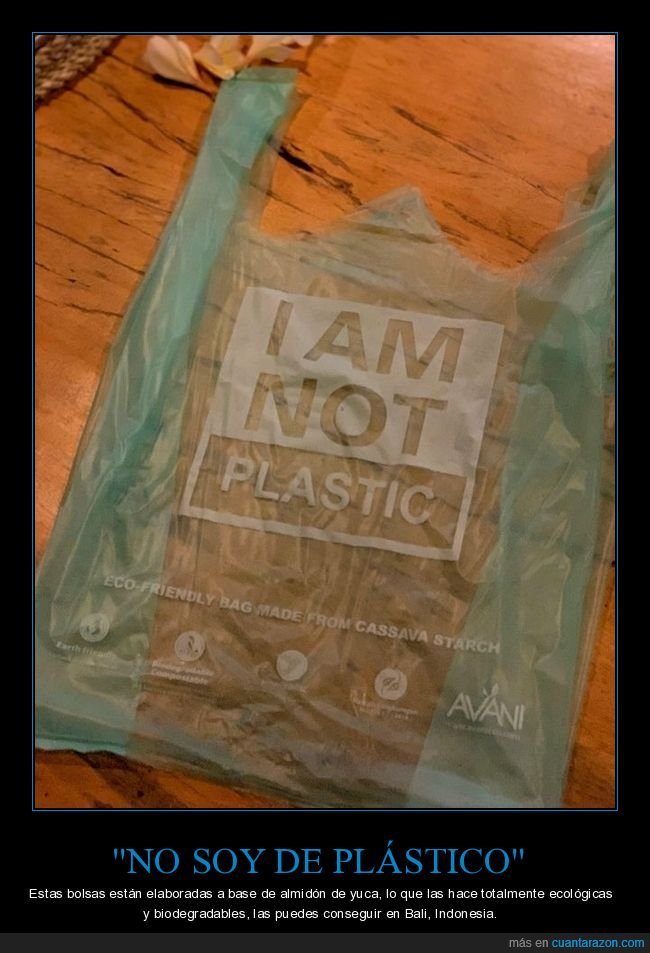 bolsa,ecológica,plástico