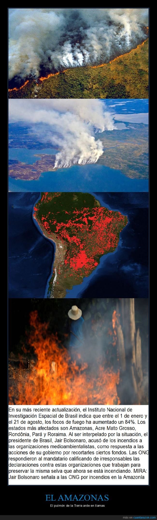 amazonas,incendios,bolsonaro,agricultura,brasil