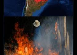 Enlace a El Amazonas, el pulmón de la Tierra arde en llamas
