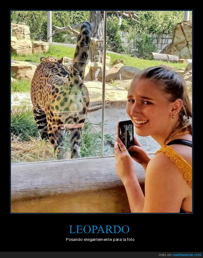 leopardo,foto,huevos,wtf,zoo