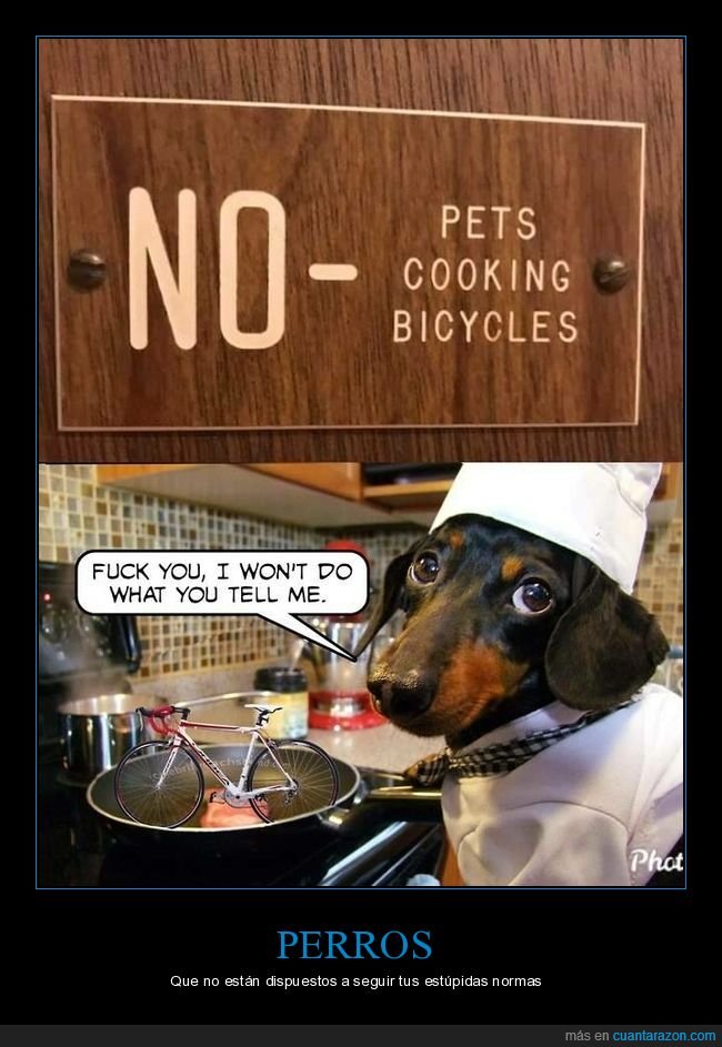cartel,prohibición,personal,cocinar,bicicletas,absurdo