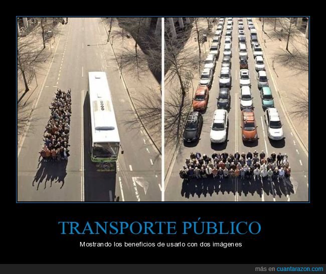 transporte público,autobús,coches