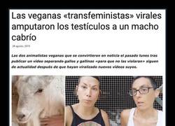 Enlace a Espero que tuvieran un buen motivo para hacerlo...