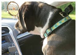 Enlace a Su sitio favorito