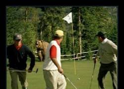 Enlace a Bastante golf por hoy