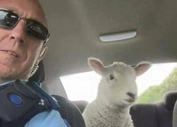 Enlace a Tiene ojos de psicópata