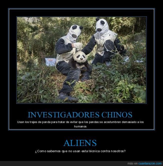 aliens,infiltrados,pandas
