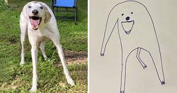 Enlace a Esta persona intentó dibujar a su perro y sin querer comenzó a crear obras maestras