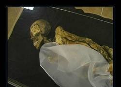 Enlace a Un tatuaje con más de 2500 años de antigüedad