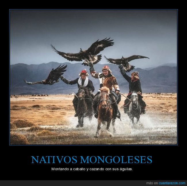 mongoleses,caballo,águilas