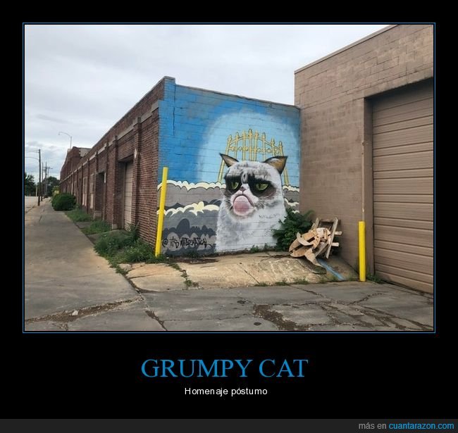 grumpy cat,mural,arte urbano